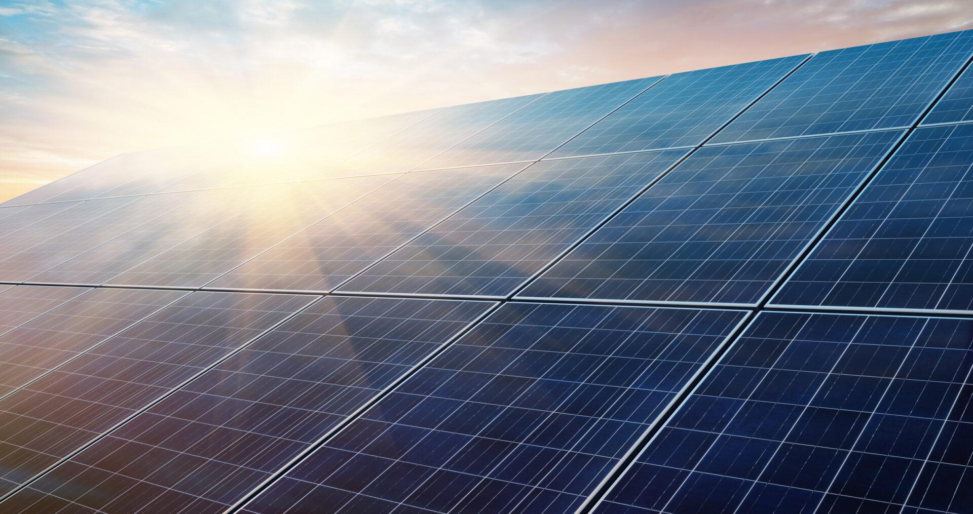 Panneaux solaires / solar panels