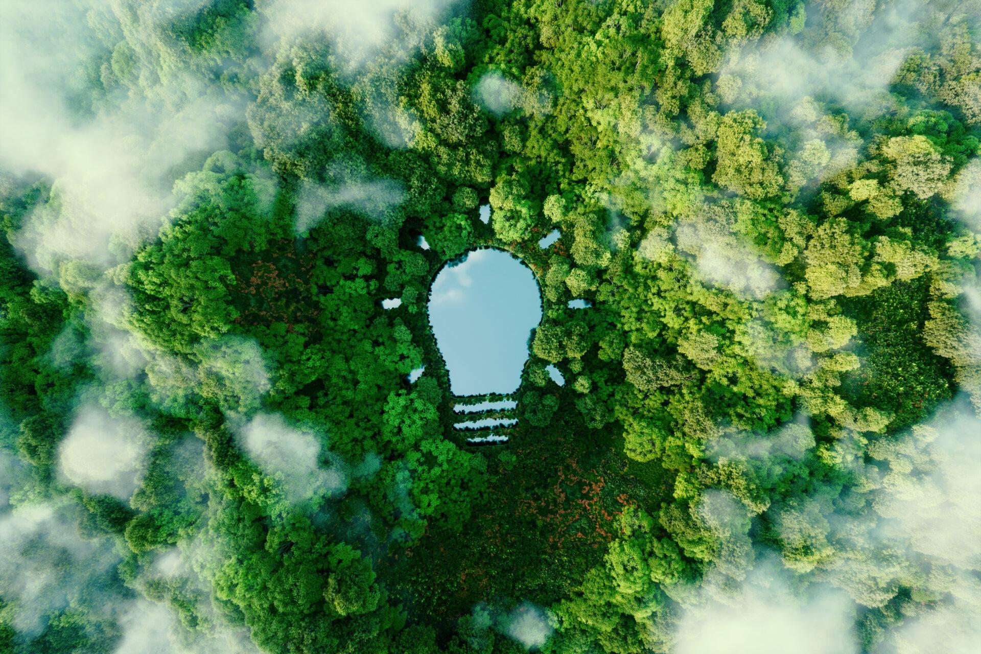 Image avec ampoule entouré de nature / Image with light bulb surrounded by nature