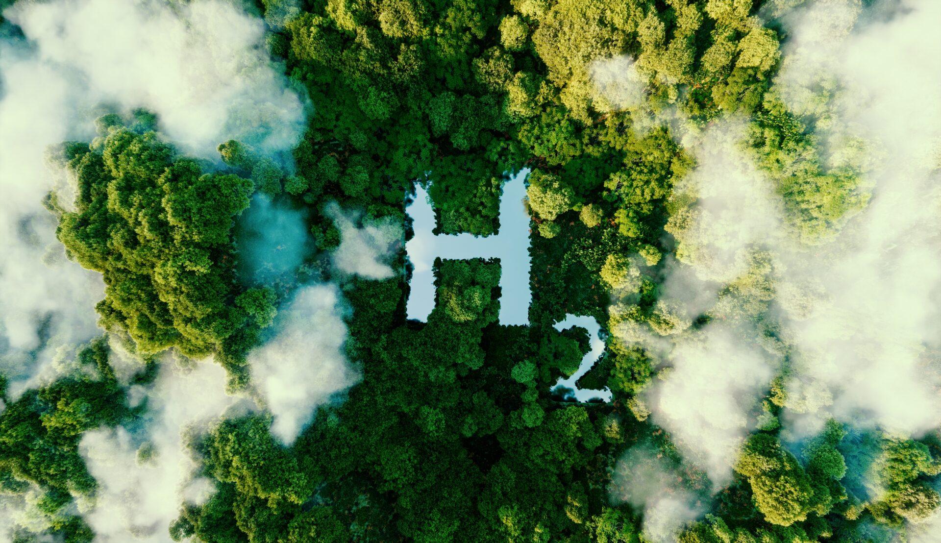H2 avec forêt / H2 with forest